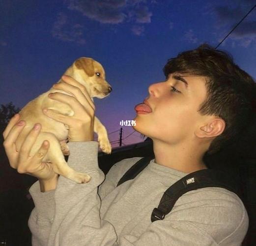 6686体育官网钻石作者花落半歌