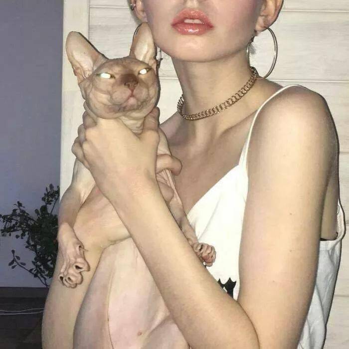 6686体育官网铜牌作者Zara