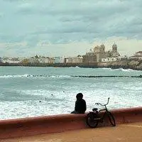 6686体育官网中级作者憨憨女王