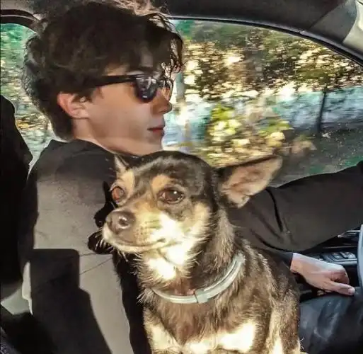 6686体育官网签约作者Benjamin