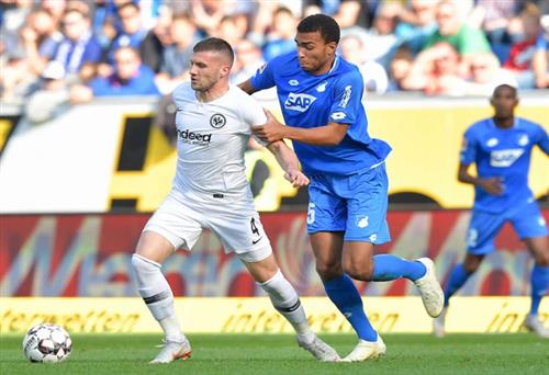 霍芬海姆 vs 法兰克福